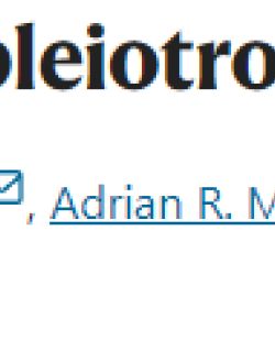A view on vitamin D: a pleiotropic factor?